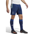 ADIDAS AJAX HEREN TRAININGSSHORT HZ7771