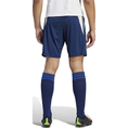 ADIDAS AJAX HEREN TRAININGSSHORT HZ7771