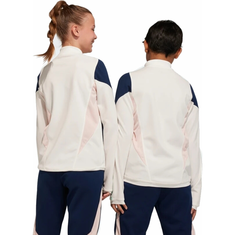 ADIDAS AJAX KINDER TRAININGSTOP HZ7784