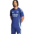 ADIDAS ARSENAL FC TRAININGSSHIRT IT2227