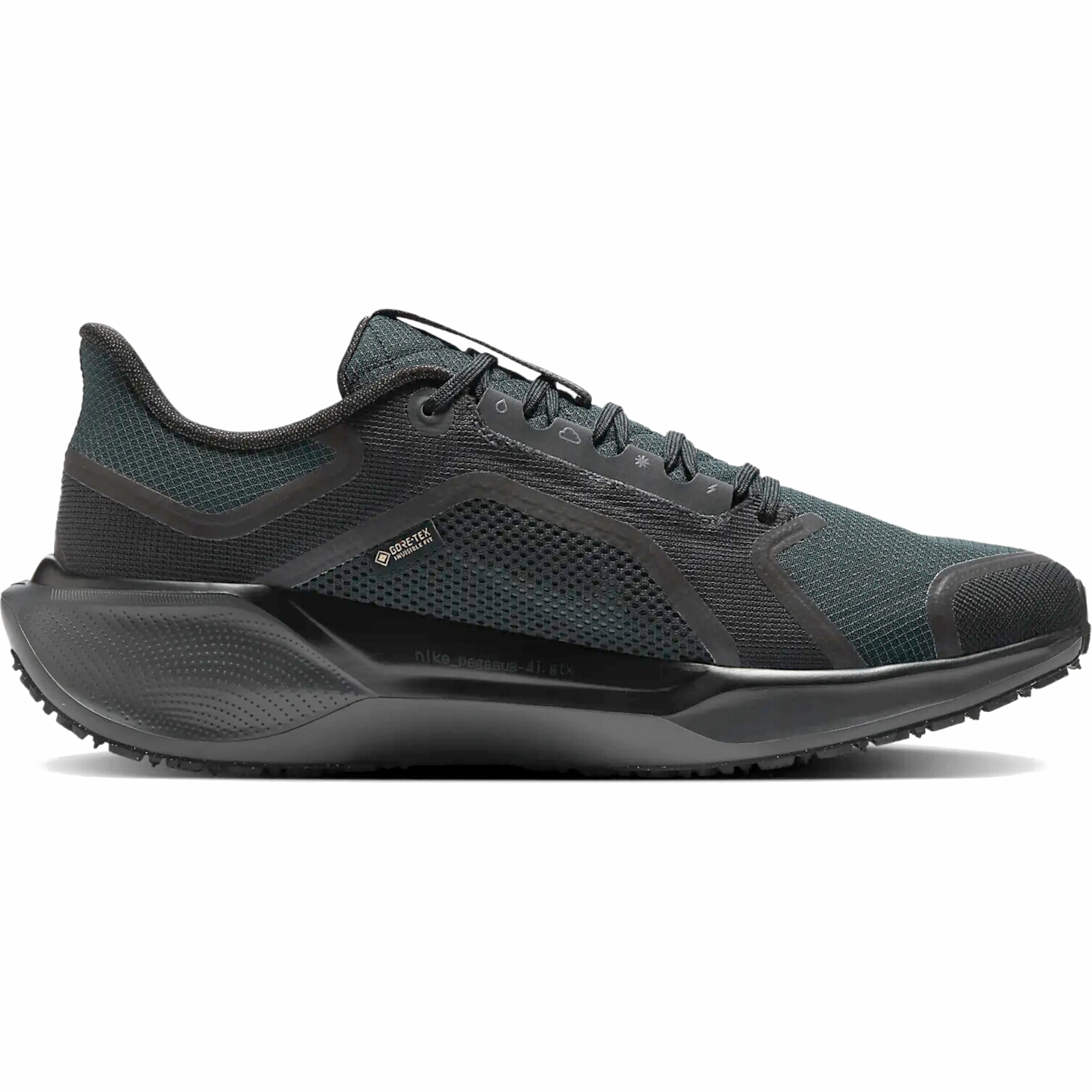 NIKE PEGASUS 41 GORE TEX HEREN HARDLOOPSCHOENEN FQ1356 001 wbsport